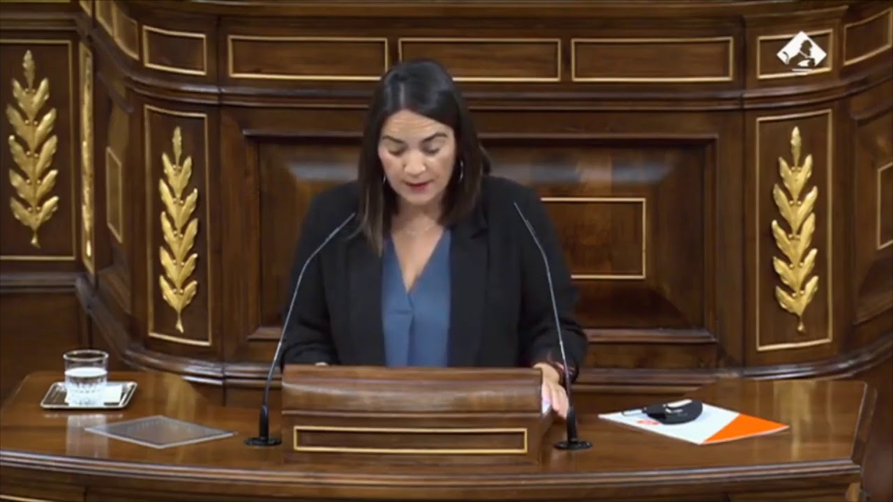 Pleno en el Congreso de los Diputados - YouTube