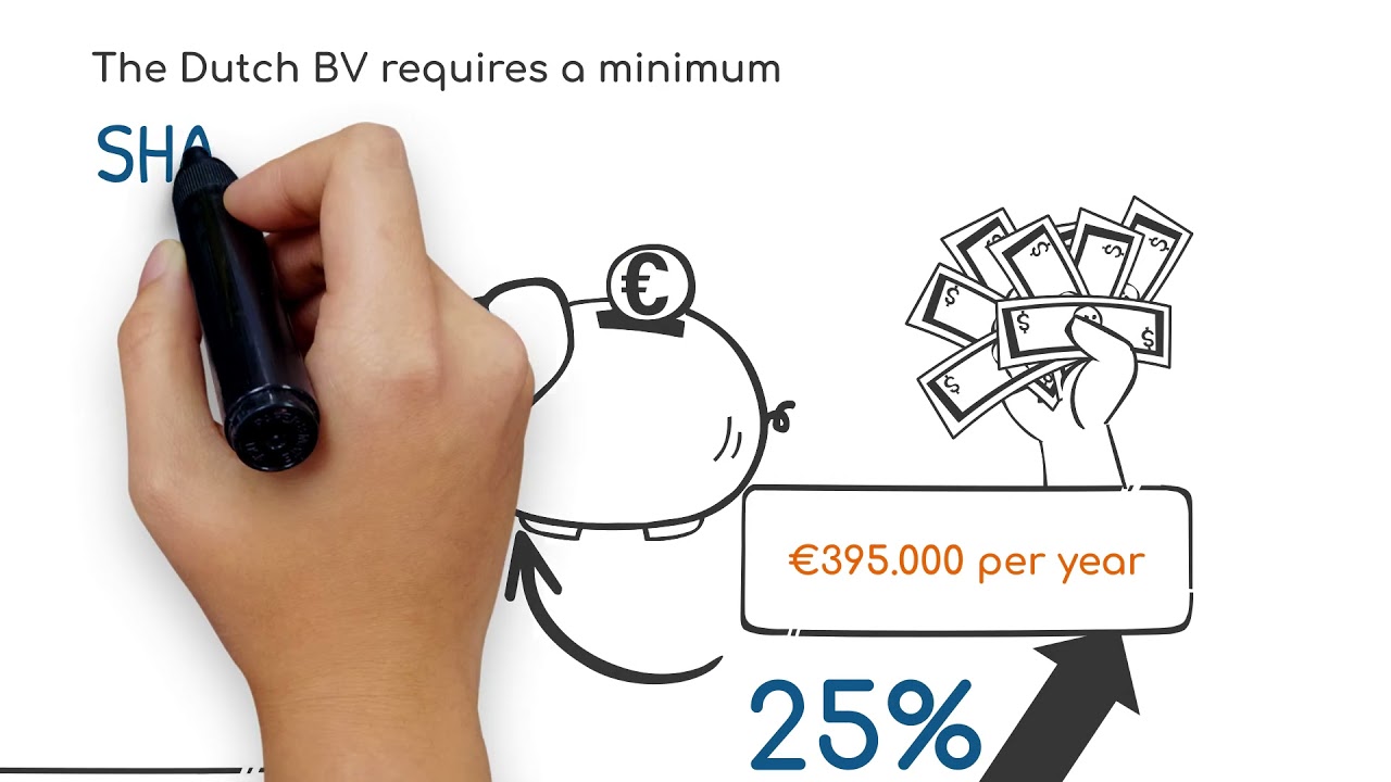 Company types in The Netherlands