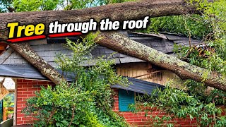 Tree falls on customer's roof.  Emergency removal.