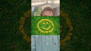 makisoftware.com #wikipedia #wikimedia #freesoftware #radio