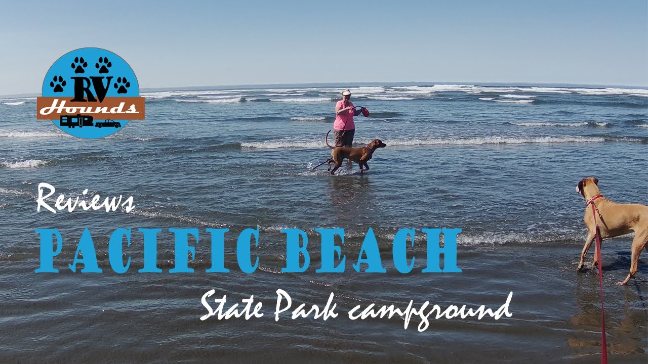 Pacific Beach State Park August 2022 YouTube