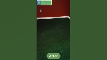A before and after video of our most recent Indoor Turf installation!