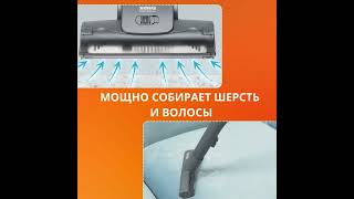Моющий пылесос для дома Thomas Pet&Family Plus