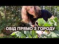 Готую борщ з 3 інгредієнтів і банановий хліб Звичайний день в Австралії 