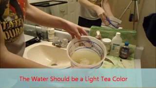 Battling Reptile Mites How-To(low cost)