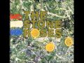 The Stone Roses This Is The One 