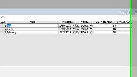 PowerBuilder Project - Profile Detail