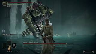 Elden Ring | Dragonkin Soldier of Nokstella (No Hit/No Magic/No Summons)