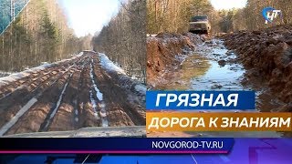 Ученики из деревни Жихарево вынужденно перешли на дистанционное обучение Ученики из деревни Жихарево вынужденно перешли на дистанционное обучение