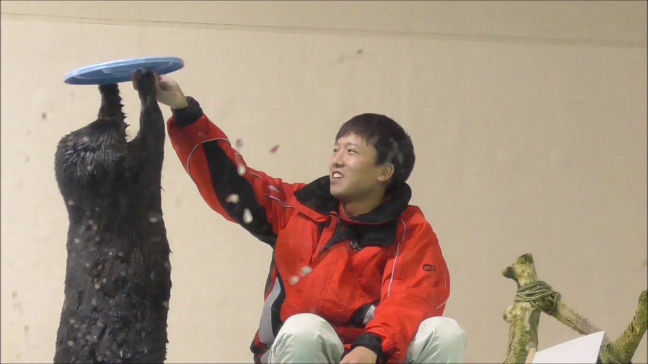 【ラッコ】思い出のロイズくん＠鳥羽水族館