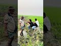 prank video #foreyou #funny