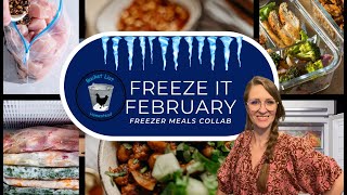 Freeze It February is here!  [I'm delivering a KidFriendly Grab and Go!]