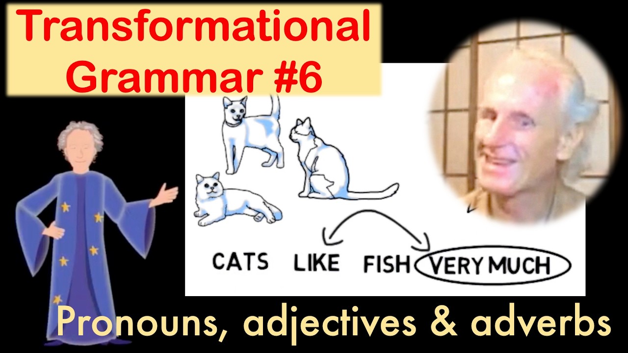 🧑‍🎓Basic transformational grammar #6:  Using pronouns, adjectives & adverbs👀