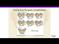 Pelvic and Acetabular Fractures - ABOS Orthopedic Surgery Board Exam Review