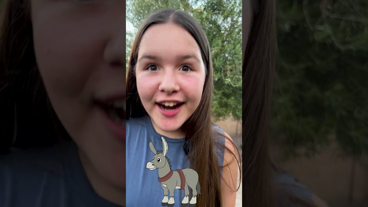  Can You Sound Like Donkey Kidsfun Kidslearning