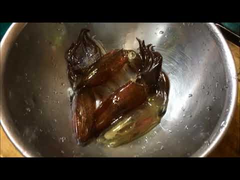 ヒイカ釣ってバター醤油炒め 釣り日記17 Youtube ヒイカ釣ってバター醤油炒め 釣り日記17 Youtube