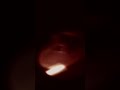 Renato Garcia Apresenta: Reações e Efeitos Visuais Que Te Deixam Chocado! #shorts