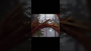 Is My Favourite Colour Another Quick Edit