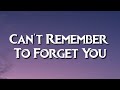 Shakira - Can't Remember To Forget You (Lyrics) (Tiktok) | I’d give my last time to hold him tonight