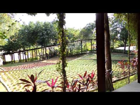 2015來去台東(初鹿牧場、台東原生植物園).mp4