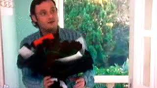 Soy Luna 2 - Ambar Recibe Unas Flores Para Luna - Capitulo 68