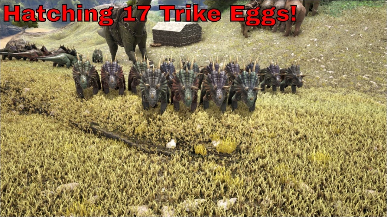 hatching-17-trike-eggs-ark-survival-evolved-53-youtube