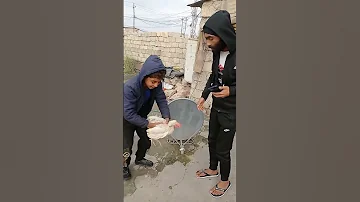 ضاهرنه باگ دجاجه 