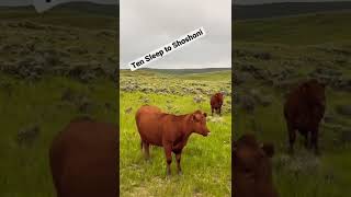 Ten Sleep to Shoshoni Over Wyoming's Back Country Discover Route