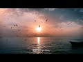ستوري تضن الحب له معنى ستوري تضن الحب له معنى