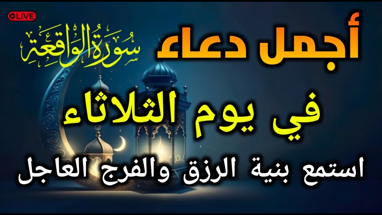قراءة مؤثرة! دورة واحدة قد تجلب لك الثروة