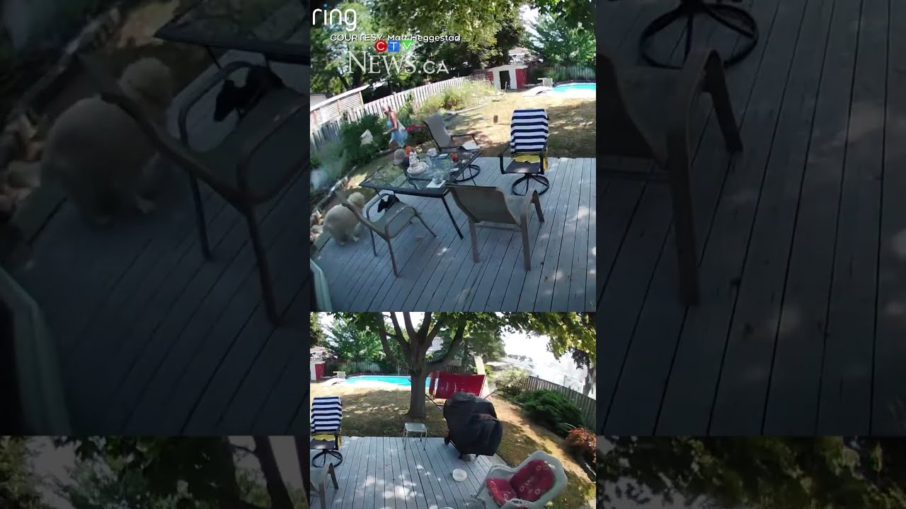 Video Of House Explosion In Barrie