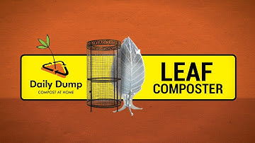 Leaf Composting - the Daily Dump way