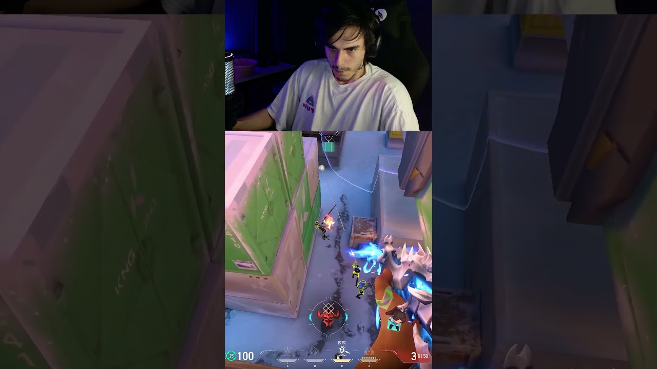 NEW WAYLAY BUG ICEBOX