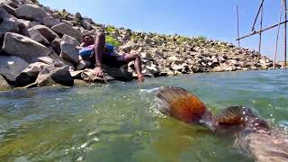 Really Incredible Fishing Method In River Underwater Big Monster Fish Catching with Chain#fishing