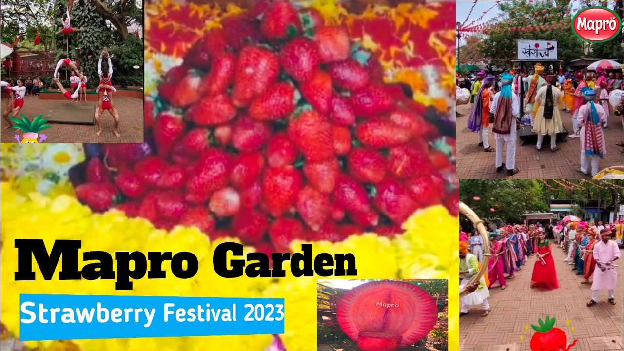 Mapro 🍓 Strawberry Festival 2023 Mahableshwar Maharashtra. YouTube