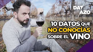 10 DATOS que NO CONOCÍAS sobre EL VINO | #DATAZO