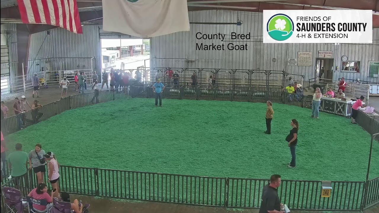 Saunders County Fair Goats and Dairy Cattle 72723 YouTube