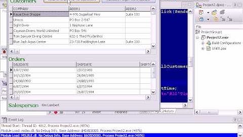 Delphi Programming Tutorial #48 - DisableControls to speed up data processing