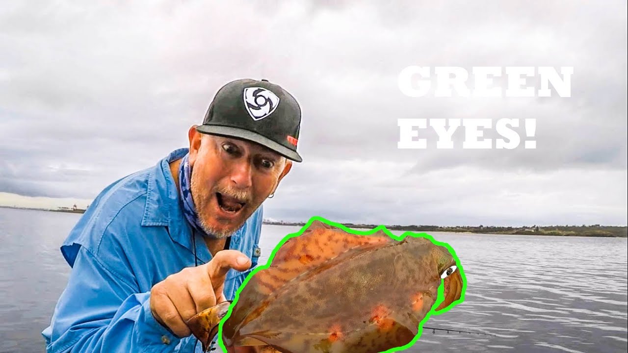 Squid Fishing Botany Bay - Plenty Abound