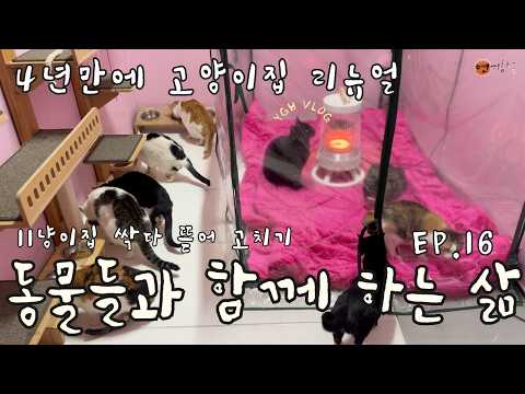 동물들과 함께 하는 삶 Ep.16  / 4년만에 고양이집 다 뜯어 고치기 / 캣타워 / 온실하우스 / 동화같은 집 / [힐링 VLOG]