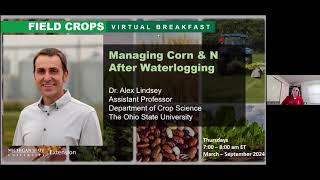 Field Crops Virtual Breakfast: Managing Corn and Nitrogen After Waterlogging