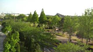 MVI_8358.AVI