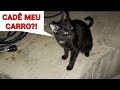 IMPREVISTOS DA VIDA #Parte 4 (Carro pegou fogo 🤦🏻‍♂️😂) | Júlio e Eu 😼🧔🏻