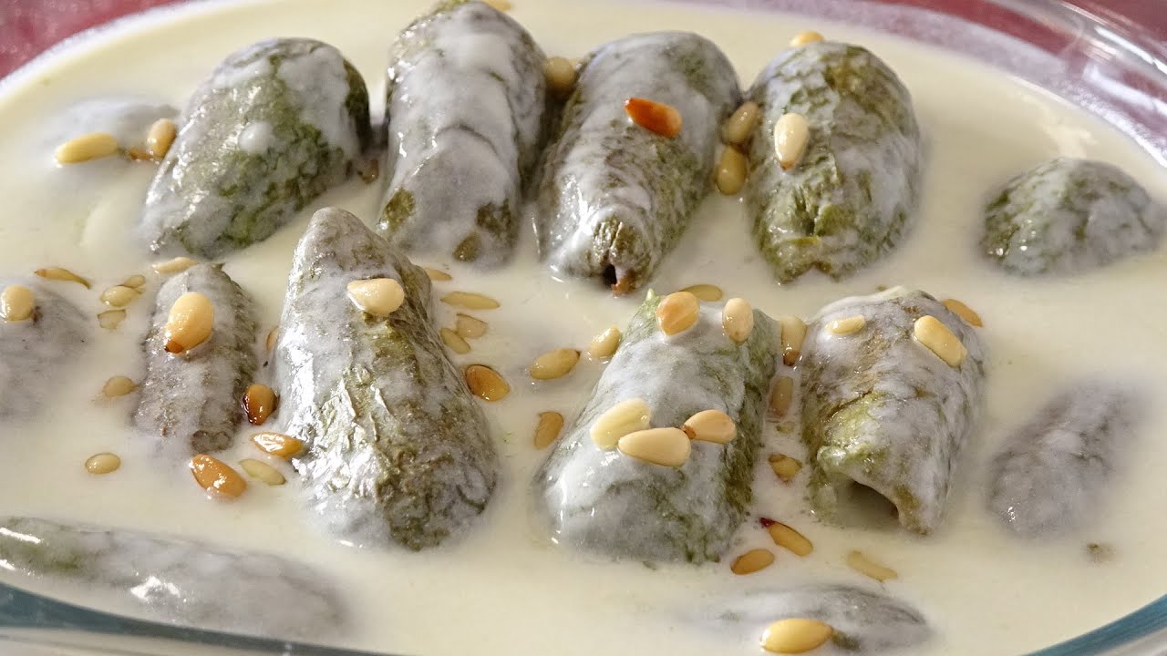 شيخ المحشي(كوسا باللبن)بطريقة سهلة وسريعة👌