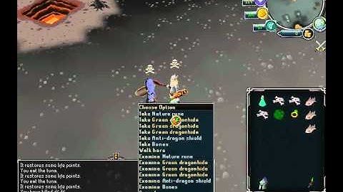 Runescape Bot Killing Video 1 Part 1