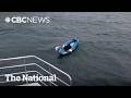 Boat captain rescues dog drifting on kayak | The Moment