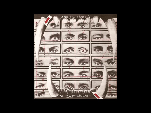 The Last Words - Animal World / No Music In The World Today (FULL