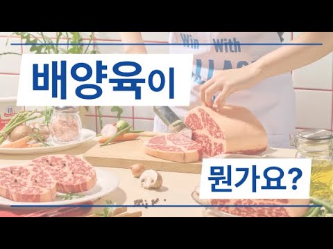 배양육이 뭘까요? 왜 필요할까요? - video from Thyssen Biopharmaceuticals