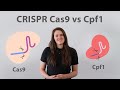 Crispr cas9 vs cpf1 5 ways the cpf1 nuclease outsnips cas9