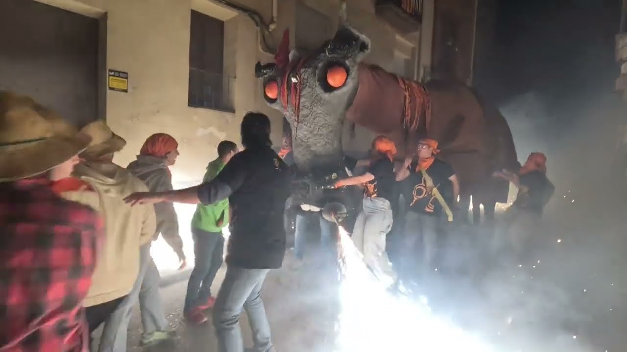 Ball del Camell de Molins de Rei Carnaval 2025